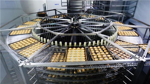 甩開(kāi)歷史包袱，走好三條路 稻香村集團(tuán)以技術(shù)開(kāi)發(fā)引領(lǐng)高質(zhì)量發(fā)展